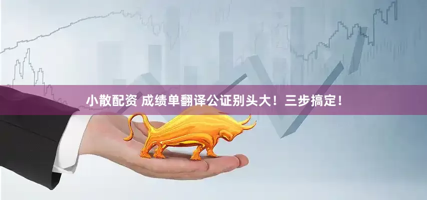 小散配资 成绩单翻译公证别头大！三步搞定！
